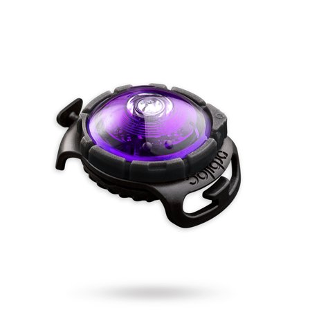 Orbiloc - Orbiloc Safety Light - Purple - for store hunder - Reflekser & Sikkerhetslamper til gåturen på Doggie.no
