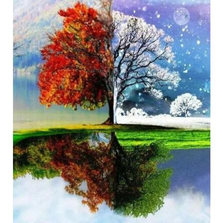 Four Seasons Tree Diamond Painting (30*40cm)
