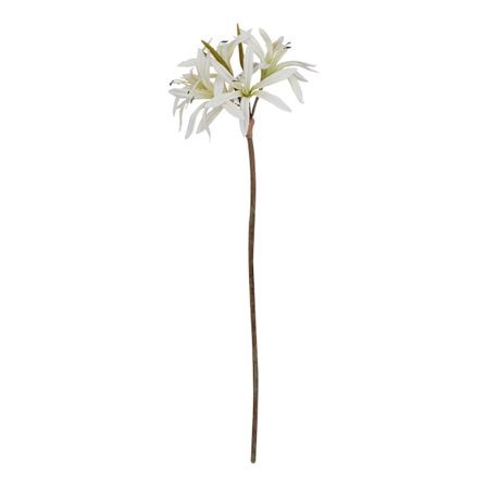 Hill Interiors The Natural Garden Collection Nerine Lily Konstgjord