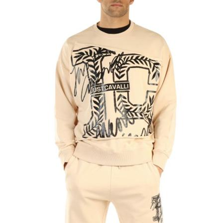 Just Cavalli Sweatshirts inbo, Herre