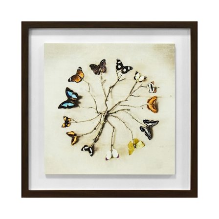 Ian Winstanley Butterfly Harmony Träinramad Plakett One Size Mu