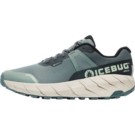 Icebug Women's Arcus RB9X Gore-Tex Women Running shoes Green 37.5
