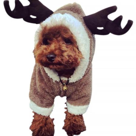 Pet Rendeer Cosplay Halloween Jul Älgdräkt S
