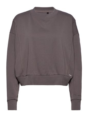 Flex Batwing Crew Grey Superdry Sport