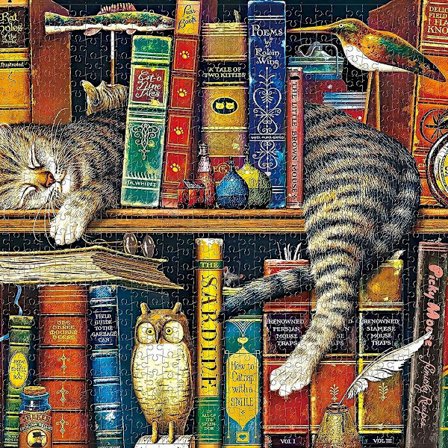 1000 brikker puslespil til voksne. Klassiske puslespil, færdighedsspil til KLB