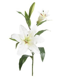 Konstväxt snittblomma Lilja 70 cm 1p Vit - Mr Plant