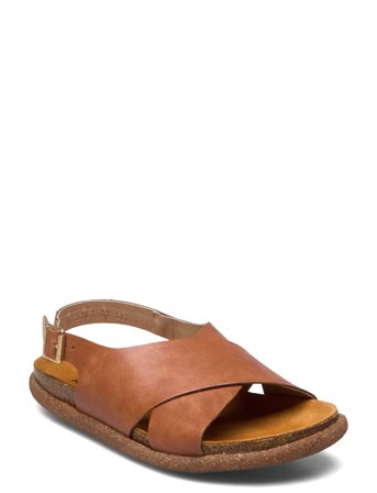 ANGULUS Sandals - Flat - Open Toe - Op - Brown - 42