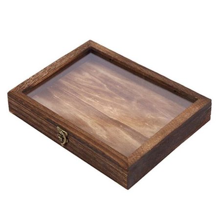 Visningsboks Bilde Ramme Insekt Prøve Visningsboks M