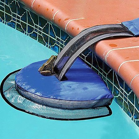 Uima-altaan pakoverkko sammakko lintujen pakoverkko Eurooppa ja Yhdysvallat rakastavat pelastus uima-allas