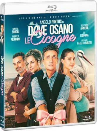 Dove Osano Le Cicogne