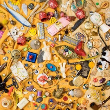 For the birds NEIGHBOR LADY