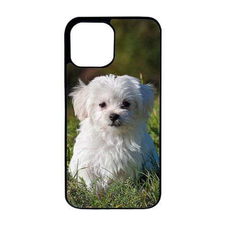 Hund Malteser iPhone 15 Skal