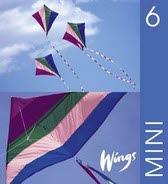 Wings Mini. 6, Elevbok - Bok av Dominic Summerton - Häfte