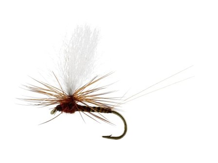 Marginata Dun Quill Brown TMC100 #14