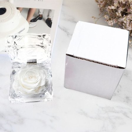 ekte rose bevart i en mini transparent ringboks, smykkeskrin, evig gave, evig rose, Valentinsdag