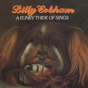 A funky thide of sings Billy Cobham