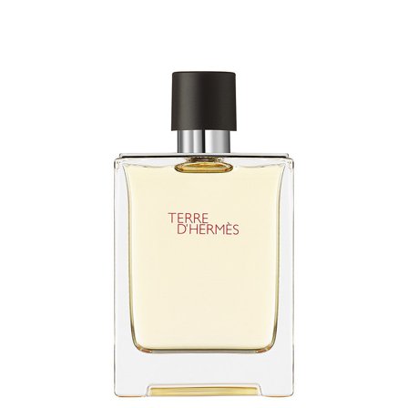 Hermès Terre d'Hermès 100ml - Eau de Toilette