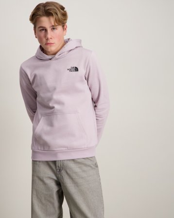 The North Face TEEN SIMPLE DOME HOODIE MOONSTONE Grijs Hoodies Jongens - Kids Brand Store
