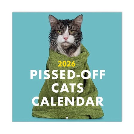 Pissed Off Cats Kalender 2025 Rolig Väggkalender, Hängande Kalender, 12 Månader