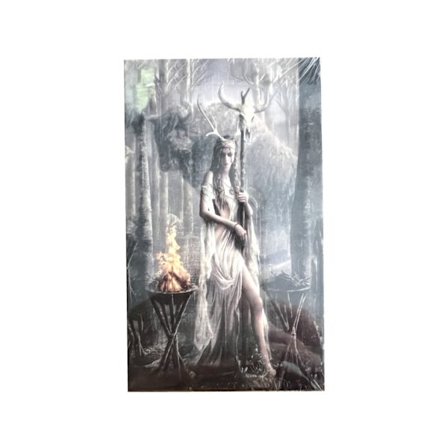Runic Oracle Tarot Card Spådomskort
