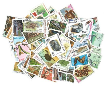 Reptiler - 100 forskellige