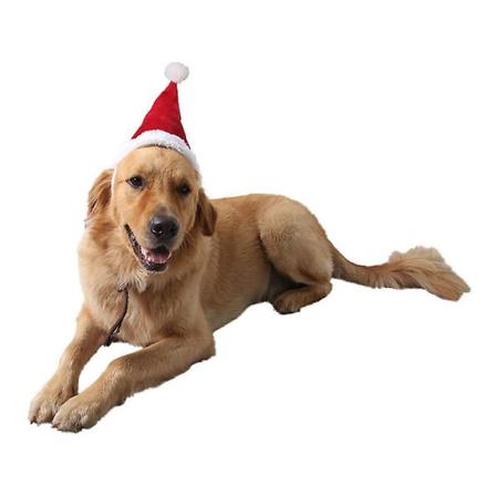 Jultomteluva för hund och katt, husdjur, jultomteluva, julkostym för valp, små, medelstora och stora hundar (S) s