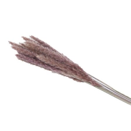 15/30x Konstgjord Naturlig Torkad Pampasgräs Blommor Bukett Bröllop Heminredning Naturfärg (B 30ST)