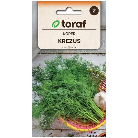 Sikurin siemenet Spadona - keskiaikainen ja erittäin hedelmällinen lajike