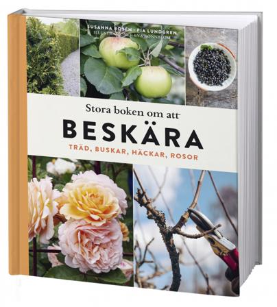 Stora boken om att beskära : träd, buskar, häckar och rosor - Bok av Susanna Rosén & Pia Lundgren - Inbunden