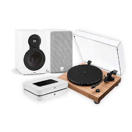 Argon Audio TT4 MK2 + BLUESOUND POWERNODE (N331) + DALI SONIK 3 Platenspelersysteem