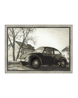 Bild Käfer - Riolis