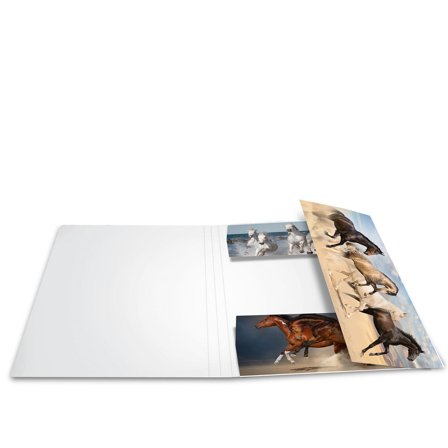 Herma Horses 3-folds mappe A4 (210 x 297 mm) Horses