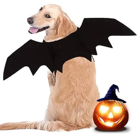 Hund Bat Vinger, Hund Halloween Kostume, Stor Hund Kostume, Hund Bat Kostume, Hund Halloween Outfit, Til Hjemmedekoration
