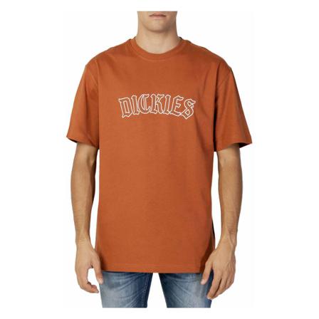 Dickies T-Shirts Brun, Herre
