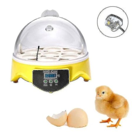 Automatisk egginkubator for fjærfe, 7 egg, temperaturkontroll - Z-HG