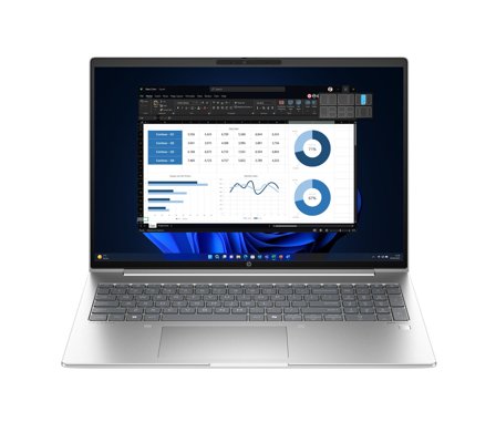 HP ProBook 465 16 tum G11 Notebook PC, 198415269362