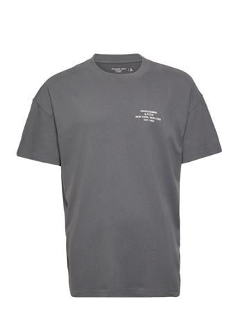 Anf Mens Graphics Grey Abercrombie & Fitch