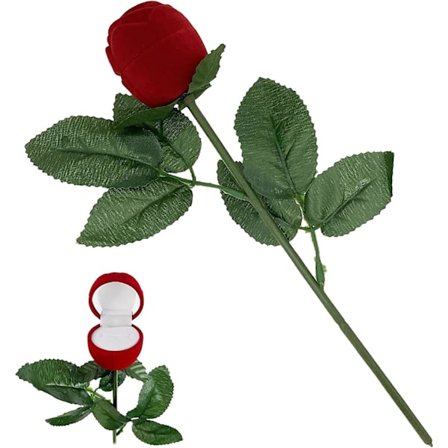 Röd ros smyckeskrin för ring örhänge