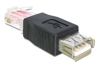 Delock USB-adapter - RJ-45 til USB