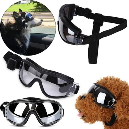 Hunde Briller Solbriller Goggles