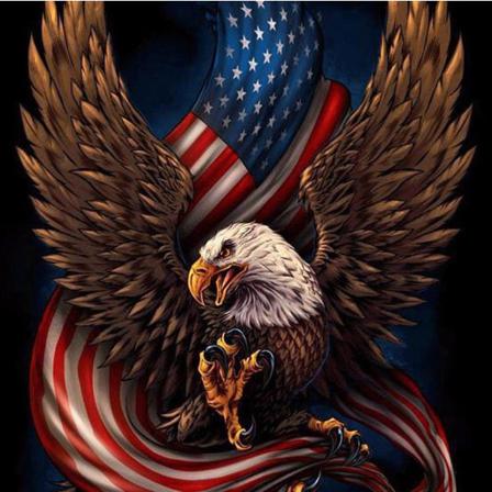 Diamond Painting 30x30 Cm Örn Amerika Usa Diamantmålning Diy Multifärg