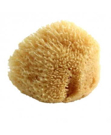 Spugna Naturale Media 1 Pezzo