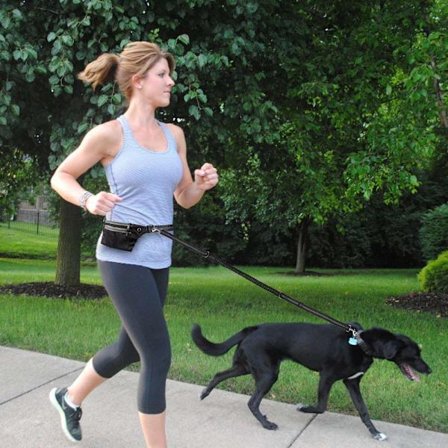 Koiran talutushihna Hands Free vyötärölaukulla Black