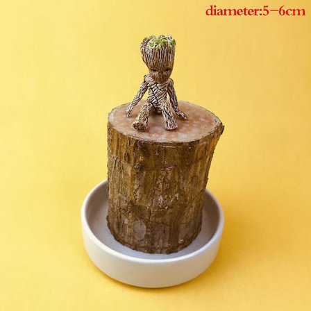 Groot Grønn Plante Brasiliansk Tre Vann Dyrke Lykke Tre Potteplante Lite Tre Mennesker