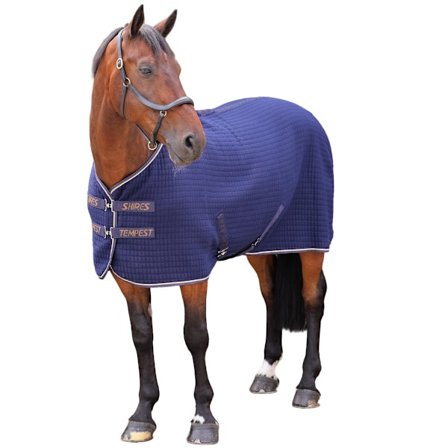 Tempest Original Quilted Horse Cooler Rug 75in Ink
