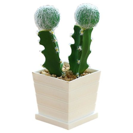 Simulering af tropiske planter, bonsai-kaktus, kreative indendørs ornamenter, grønne planter, potteplante-kaktus