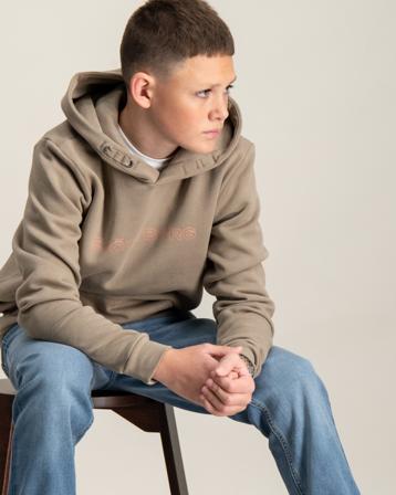 Björn Borg BORG ESSENTIAL 3 HOODIE Beige Hoodies Jongens - Kids Brand Store
