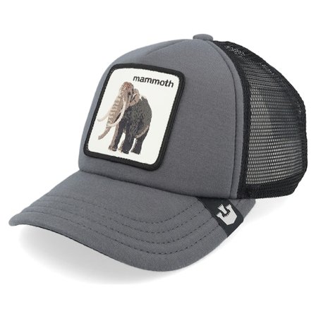 Goorin Bros. - Grå trucker Caps - Kids Fuzzy Trunk Extinct Charchaol/Black Trucker @ Hatstore