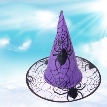 Halloween häxhatt spetsad hatt tillbehör LILA purple
