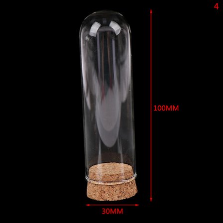 1/6 docka glaskupol display trä kork klockburk med trä bas